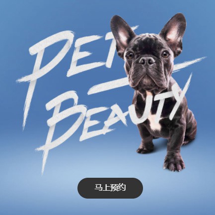 九台宠物中心小程序开发