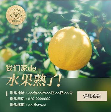 九台果园果林小程序开发